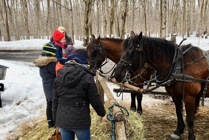 Sugar Shack (Feb to May) Maple Syrup Private Day Tour with lunch from Montreal - Who will enjoy this day most?