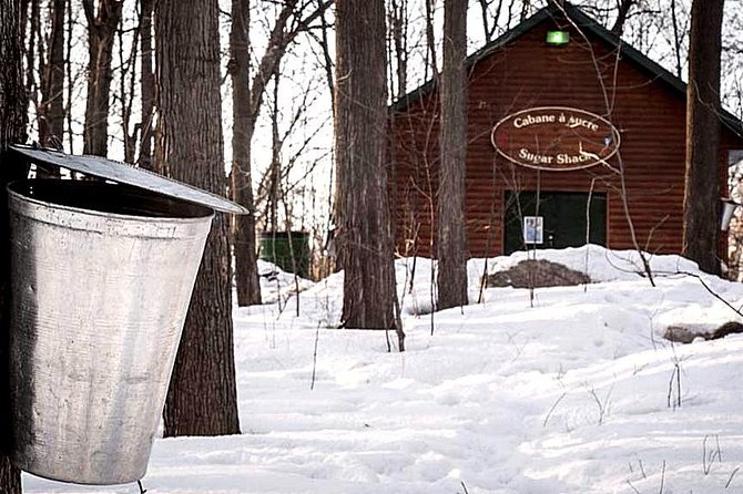 Sugar Shack (Feb to May) Maple Syrup Private Day Tour with lunch from Montreal - Cabane A Sucre Constantin and the maple-making lesson