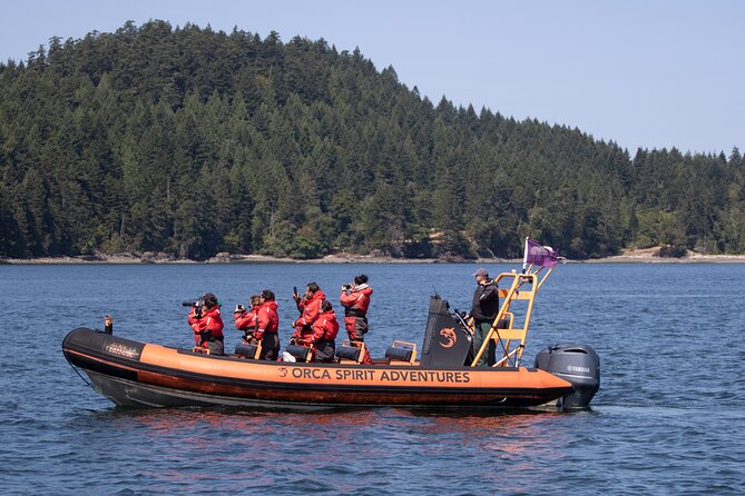 Summer Whale Watching Tour in a Zodiac Boat in Victoria - The guides can shape the entire outing