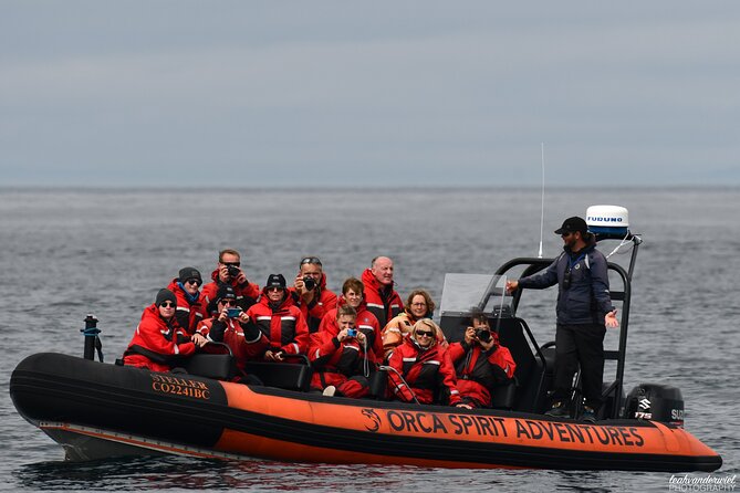 Summer Whale Watching Tour in a Zodiac Boat in Victoria - Is $144.30 a fair price?