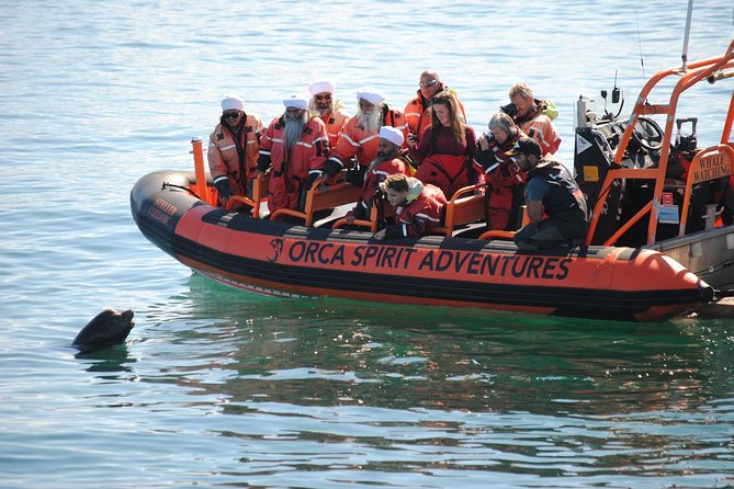 Summer Whale Watching Tour in a Zodiac Boat in Victoria - Who should book this Victoria whale watch?