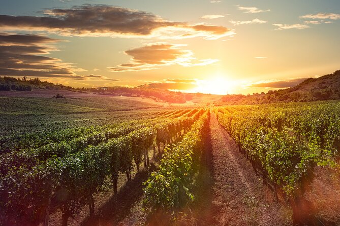 Sunset Sip Wine Tour - Timing, pickup, and route details