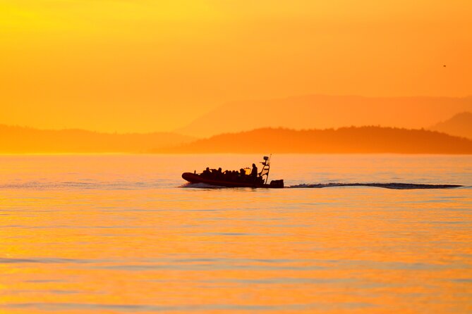 Sunset Whale and Wildlife Adventure in Cowichan Bay - The first run across the water
