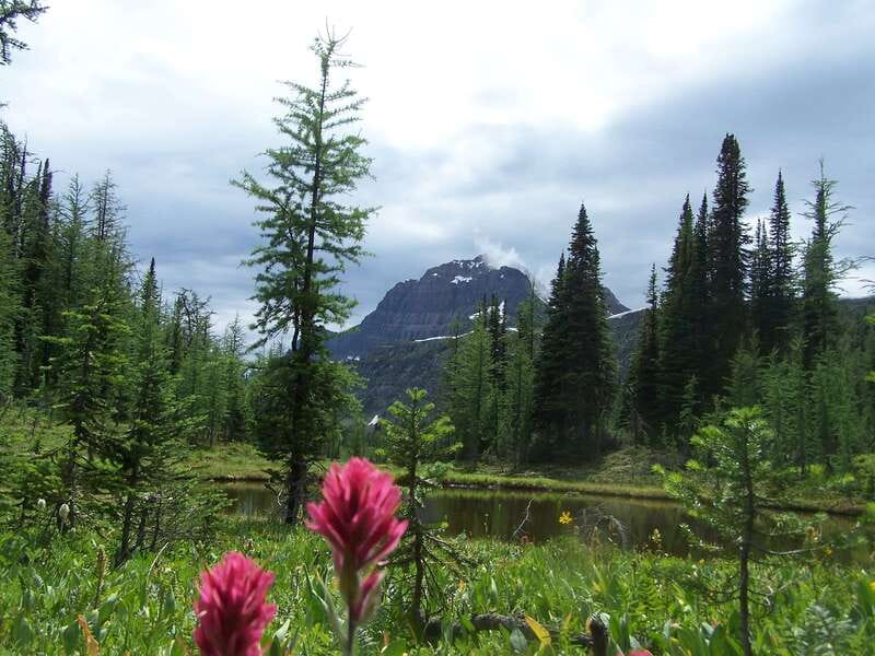 Sunshine Meadows Daily Guided Hike with Gondola - The gondola ride puts the trail in the backcountry