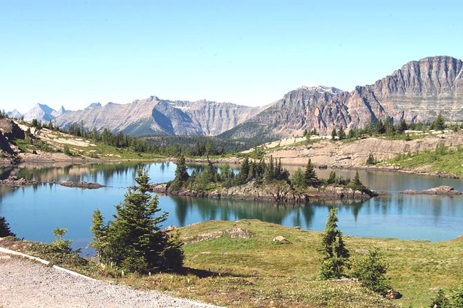 Sunshine Meadows Vistas - Guided Hike (Easy) - Walking across the Continental Divide