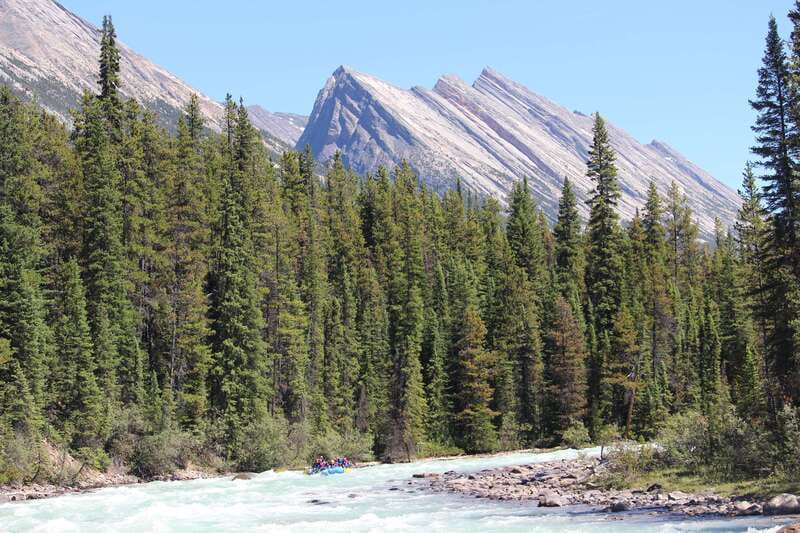 Sunwapta Challenge Whitewater Rafting in Jasper - Rocky Mountain scenery and wildlife from the raft