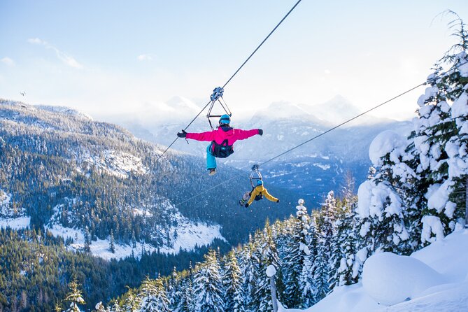 Superfly Ziplines on Cougar Mountain - includes 4 ziplines! - Key points to know before booking