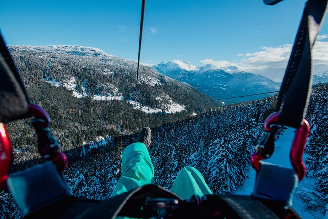 Superfly Ziplines on Cougar Mountain - includes 4 ziplines! - Four lines, four different rides