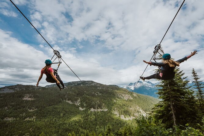 Superfly Ziplines on Cougar Mountain - includes 4 ziplines! - Is $153.20 good value?