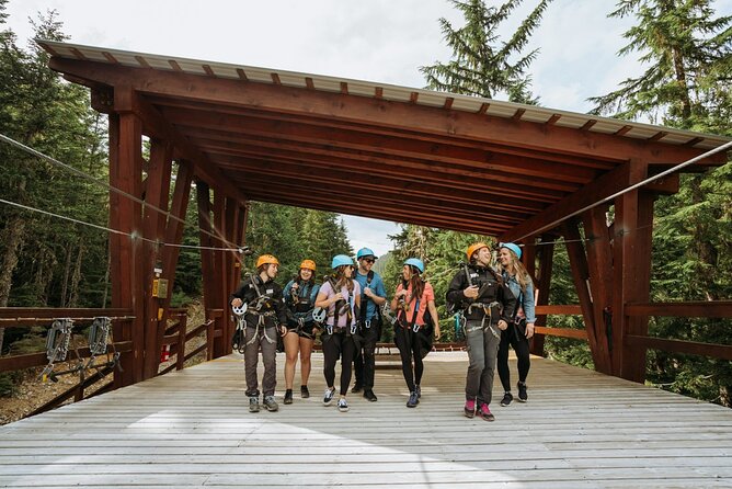 Superfly Ziplines on Cougar Mountain - includes 4 ziplines! - Who should book Superfly Ziplines?
