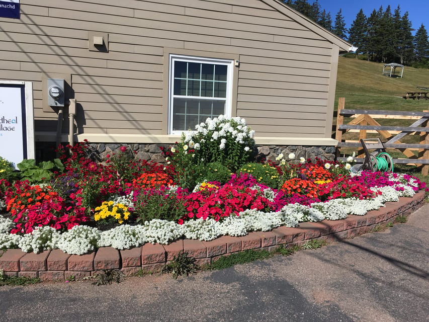 Sydney: Highland Village & Bell Museum Cruise Excursion - The return route and Cape Breton photo stops