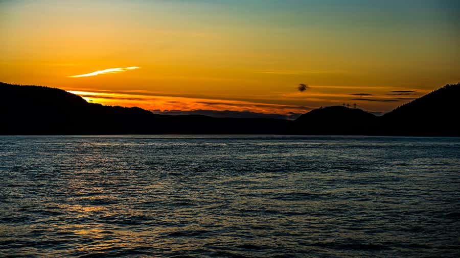 Tadoussac/Charlevoix: Whale & Fjord Morning or Twilight Tour - What the boat ride is like