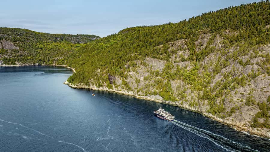 Tadoussac/Charlevoix: Whale & Fjord Morning or Twilight Tour - Practical packing advice for a cold boat