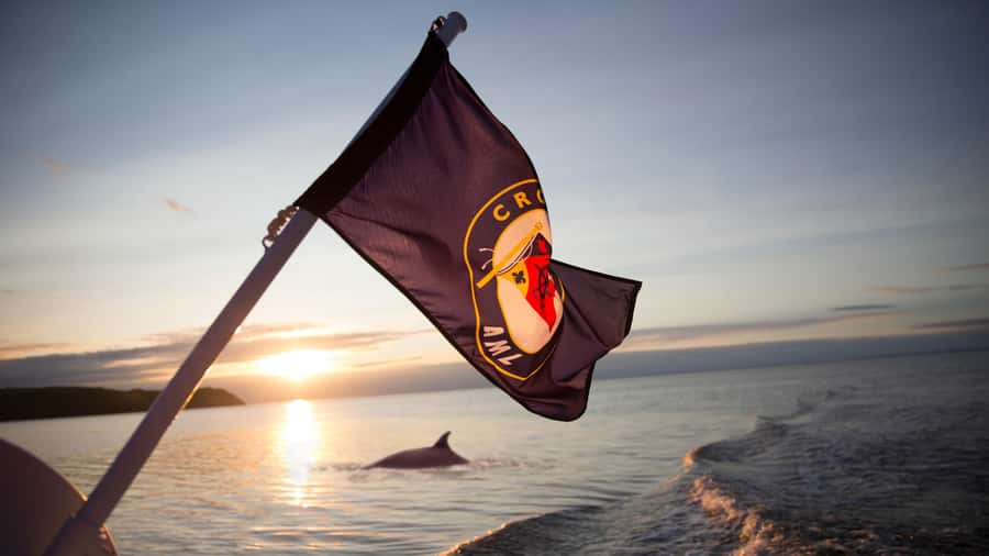 Tadoussac/Charlevoix: Whale & Fjord Morning or Twilight Tour - Morning light or sunset color?