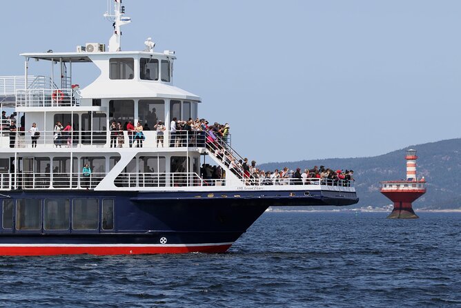 Tadoussac/Charlevoix: Whale Watching Tour - What the Zodiac is like in practice