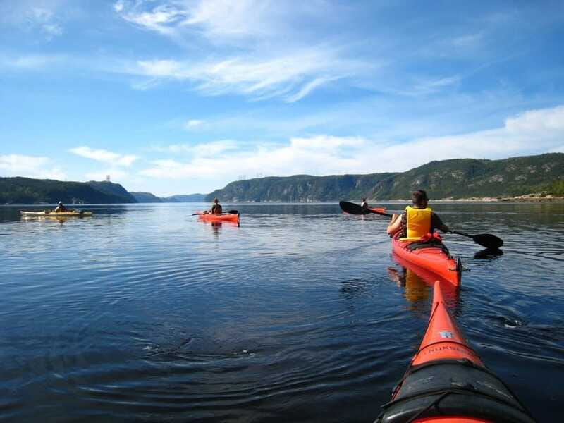 Tadoussac: Guided Sea Kayaking Adventure - Watching for seabirds, seals, and belugas