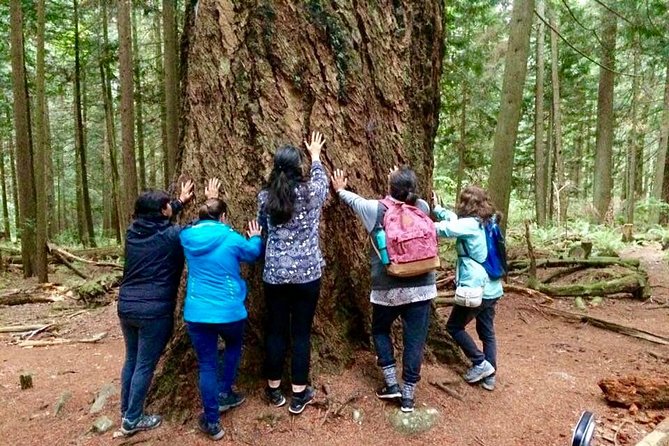 Talking Trees: Stanley Park Indigenous Walking Tour Led by a First Nations Guide - Price, timing, and overall value