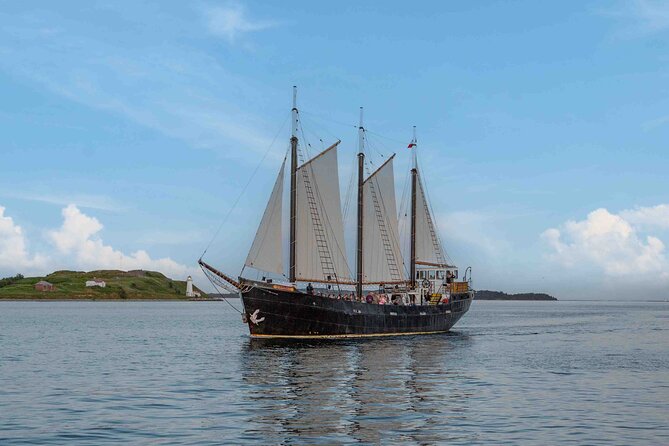 Tall Ship Silva Sailing Cruise Ft. a Live Musician - The Silva Cruise in Five Useful Points