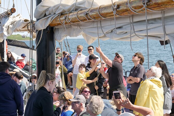 Tall Ship Silva Sailing Cruise Ft. a Live Musician - The Waterfront, Cable Wharf, and Harbour Bridge