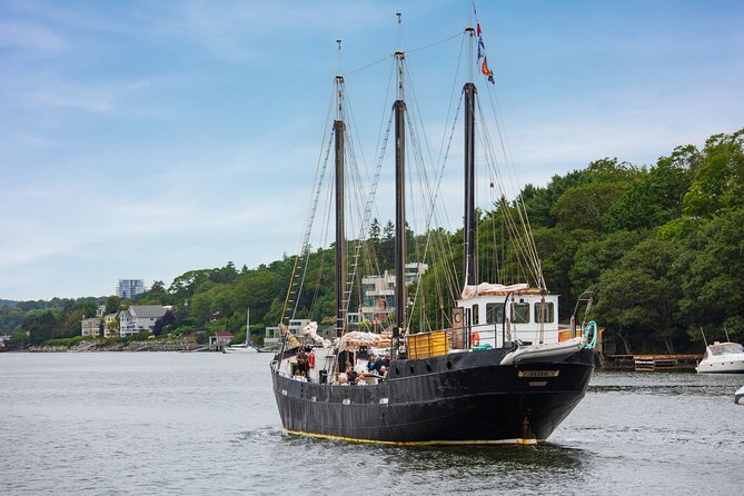 Tall Ship Silva Sailing Cruise Ft. a Live Musician - A Tall Ship With a Relaxed Feel