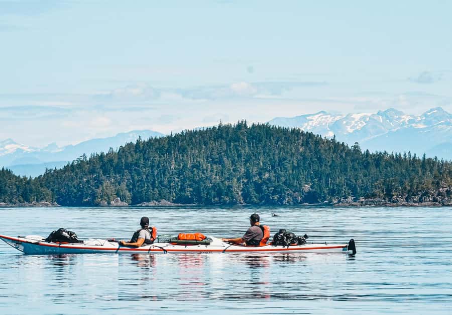 Telegraph Cove: 2-Hour Day or Evening Kayaking Tour - At a glance