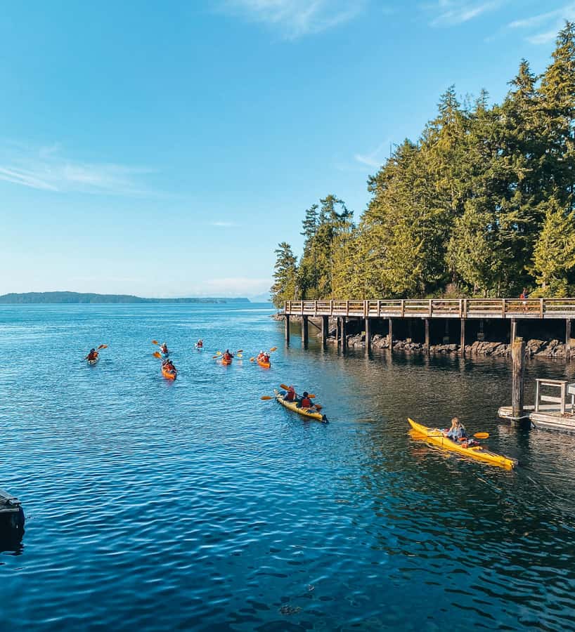 Telegraph Cove: 2-Hour Day or Evening Kayaking Tour - Why Telegraph Cove makes a good kayaking base