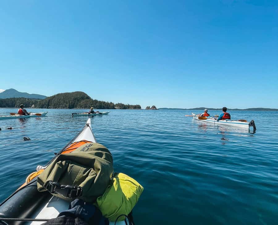 Telegraph Cove: 2-Hour Day or Evening Kayaking Tour - Paddling through coves and narrow channels