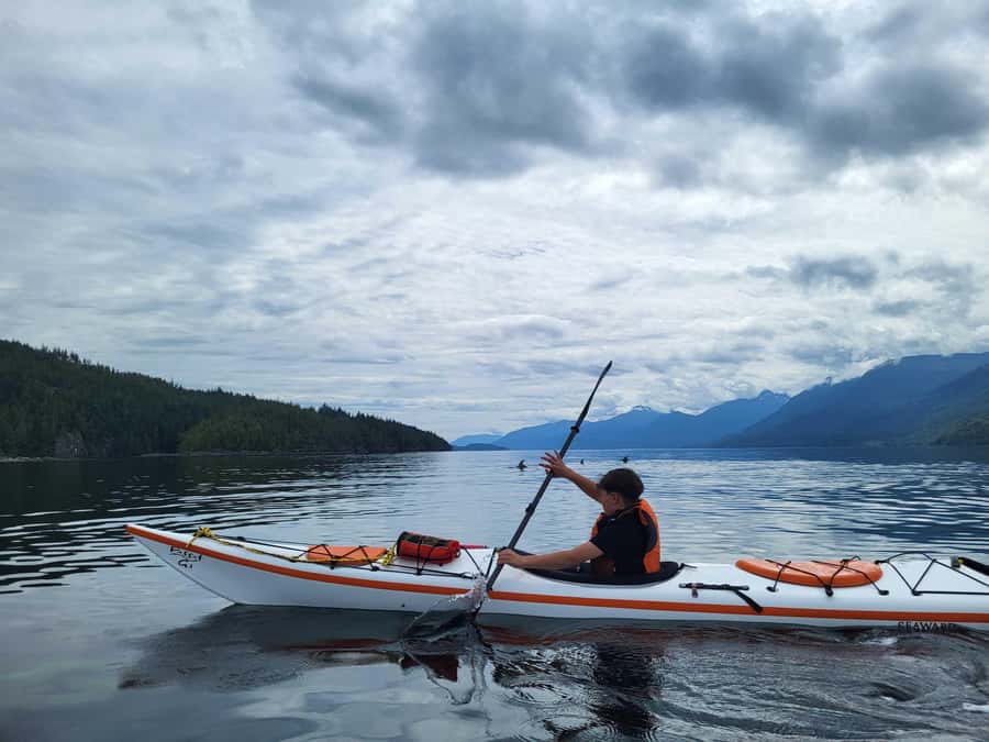 Telegraph Cove: 2-Hour Day or Evening Kayaking Tour - Daylight, evening, or sunset departure