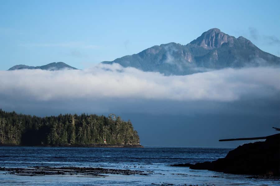Telegraph Cove: 2-Hour Day or Evening Kayaking Tour - My verdict: a smart short introduction to the coast