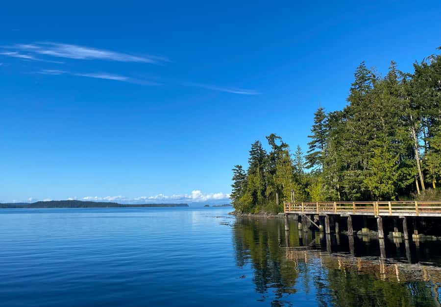 Telegraph Cove: 2-Hour Day or Evening Kayaking Tour - Getting ready at North Island Kayak