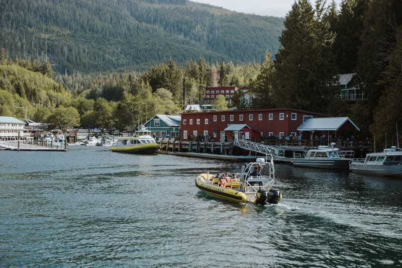 Telegraph Cove: 3-Hour Whale Watching Tour in a Zodiac Boat - Is $165 a fair price?
