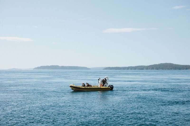 Telegraph Cove: 3-Hour Whale Watching Tour in a Zodiac Boat - Photography, distance, and the wildlife code
