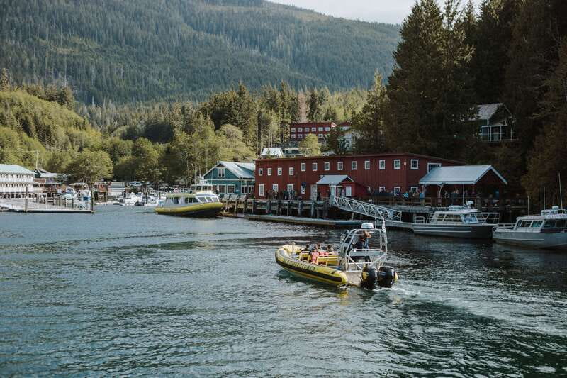 Telegraph Cove: 3-Hour Whale Watching Tour in a Zodiac Boat - Cruiser suits make the cold easier
