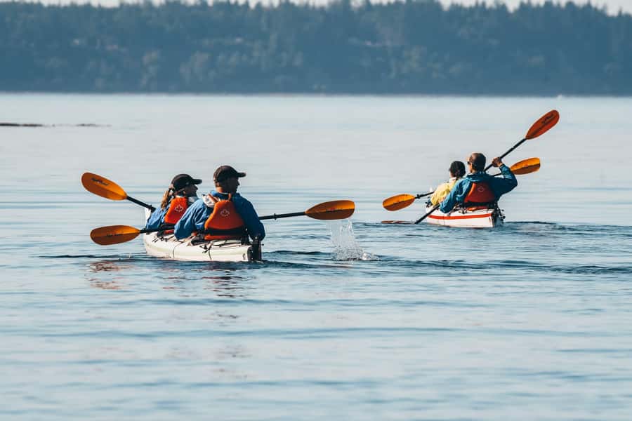 Telegraph Cove: Full-Day Trip Kayaking Tour - Key Details At A Glance