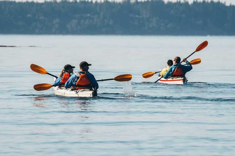 Telegraph Cove: Full-Day Trip Kayaking Tour - Why The Included Equipment Matters