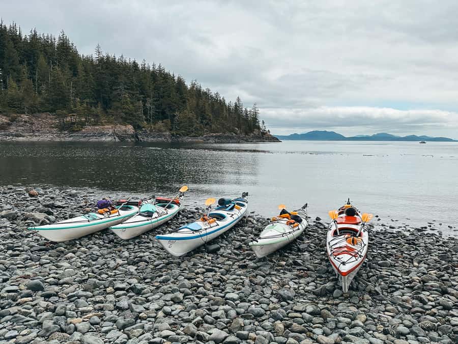 Telegraph Cove: Full-Day Trip Kayaking Tour - Is Six Hours Worth $160?