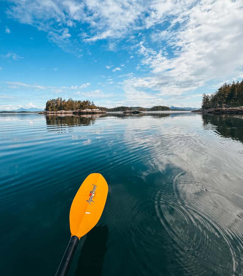 Telegraph Cove: Full-Day Trip Kayaking Tour - Who Will Enjoy This Telegraph Cove Paddle?