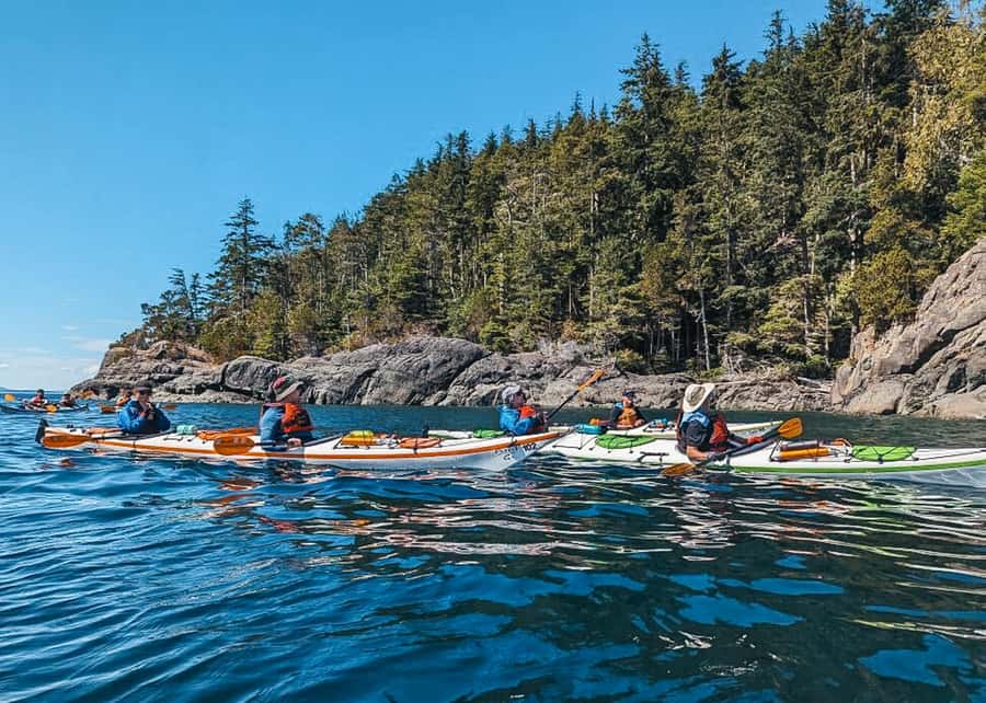 Telegraph Cove: Full-Day Trip Kayaking Tour - Four Hours Of Paddling In Johnstone Strait