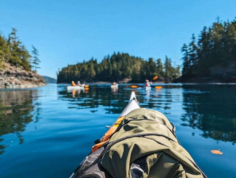 Telegraph Cove: Half-Day Kayaking Tour - Watching the intertidal world from a kayak