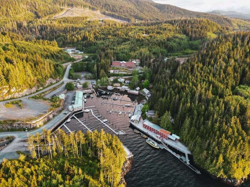 Telegraph Cove: Half-Day Kayaking Tour - Guides who turn scenery into understanding