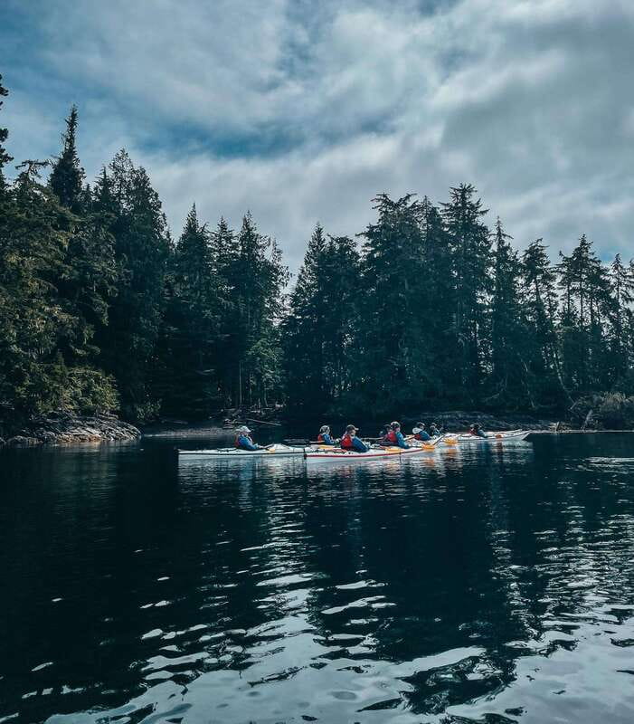 Telegraph Cove: Half-Day Kayaking Tour - Setting out toward the Blinkhorn Peninsula
