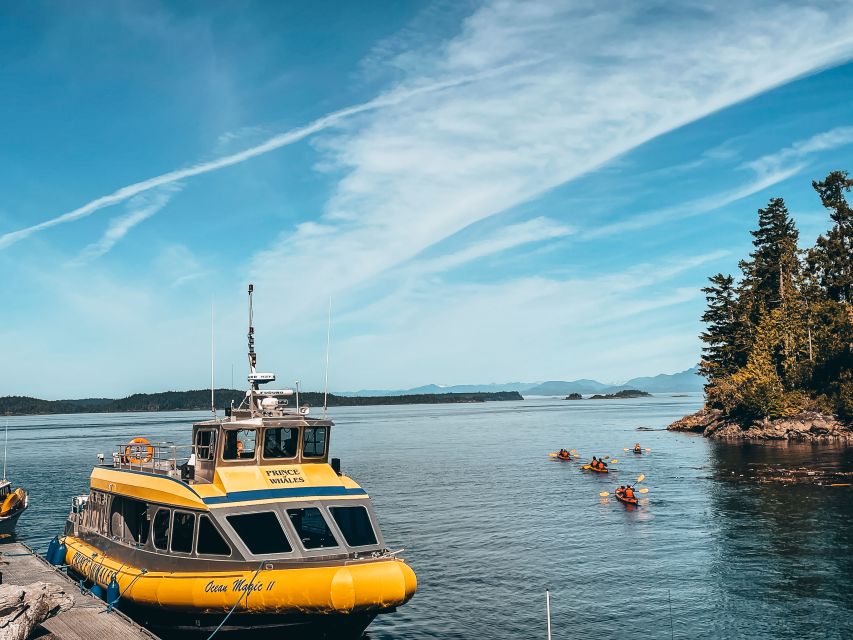 Telegraph Cove: Whale Watching Adventure with Free Photos - Booking, Cancellation, and Practical Timing