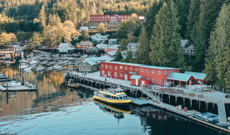 Telegraph Cove: Whale Watching Adventure with Free Photos - Tea, Coffee, Hot Chocolate, and Boat Comfort