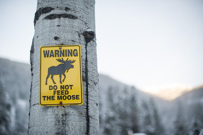 The BANFF NATURE Walk - 2hr Adventure - The guides make the difference