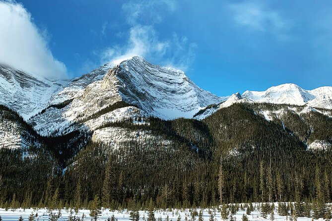 The BANFF NATURE Walk - 2hr Adventure - Wildlife, safety, and realistic expectations