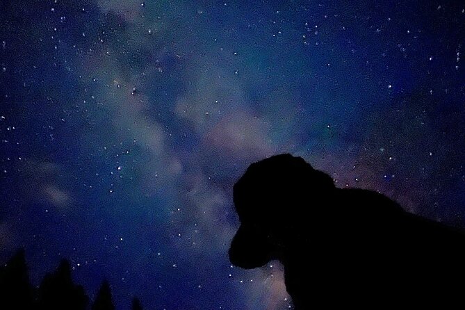The Banff Stargazing Tour - 2hr Walking Tour - Weather, Moonlight, and Seasonal Departure Times
