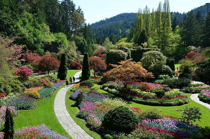 The Butchart Gardens Express Shuttle from Downtown Victoria - Who will enjoy this Butchart Gardens visit most