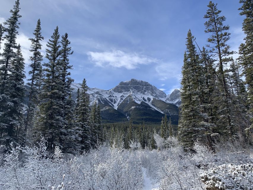 The Canmore HISTORY TOUR - Cowboys and Coal Miners 2H Walk - The cowboy side of the experience
