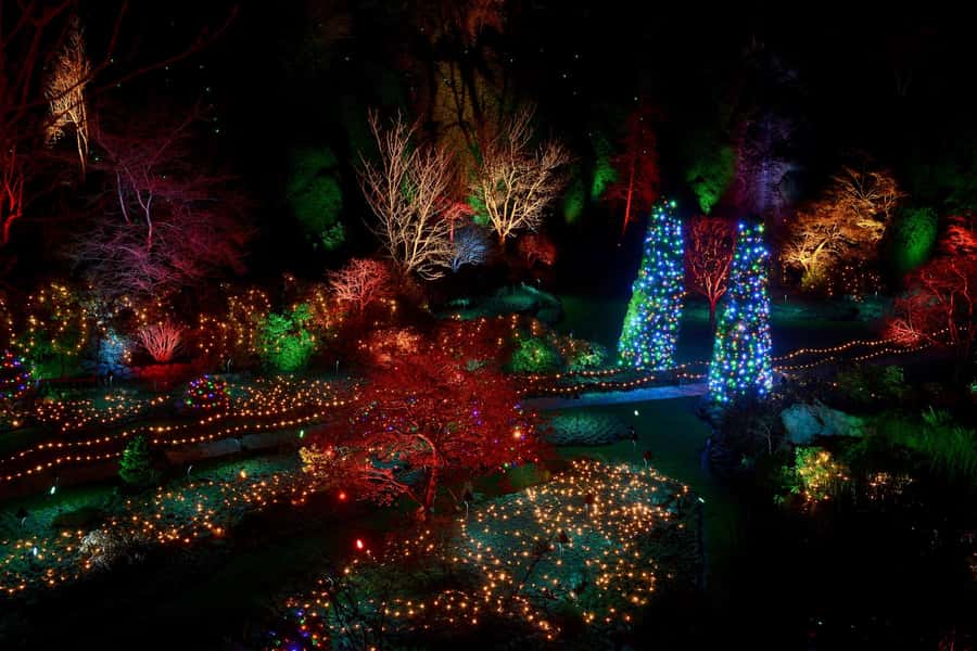 The Magic of Christmas at the Butchart Gardens - Key details before you book
