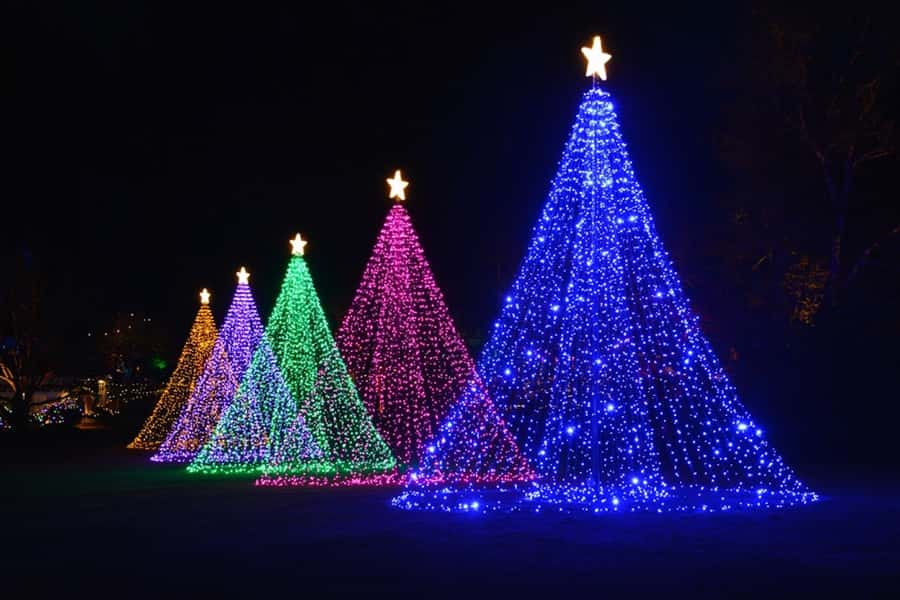 The Magic of Christmas at the Butchart Gardens - The ride from downtown Victoria to Butchart Gardens